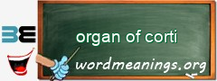 WordMeaning blackboard for organ of corti